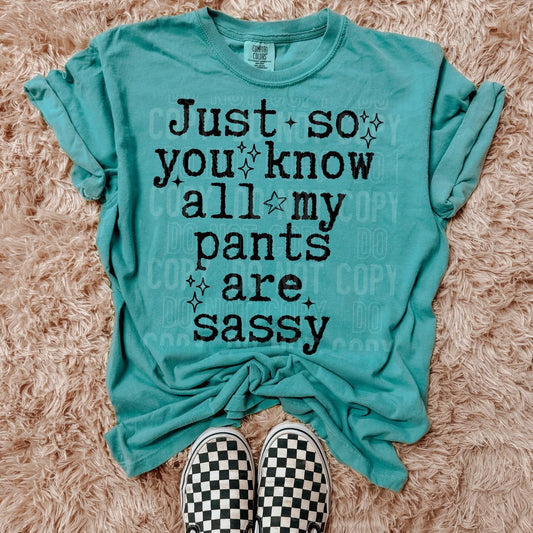 JUST SO YOU KNOW ALL MY PANTS ARE SASSY (SBB 2026): *COMPLETED SHIRT*