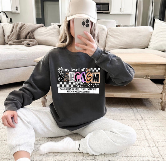 LEVEL OF SARCASM (Cerra 2026): *COMPLETED SHIRT*