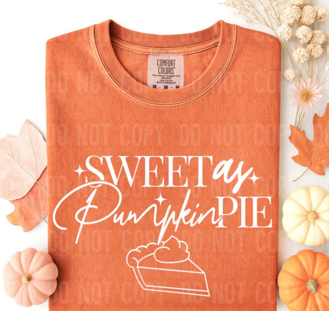 SWEET AS PUMPKIN PIE (SBB): *COMPLETED SHIRT*