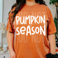PUMPKIN SEASON (SBB): *COMPLETED SHIRT*