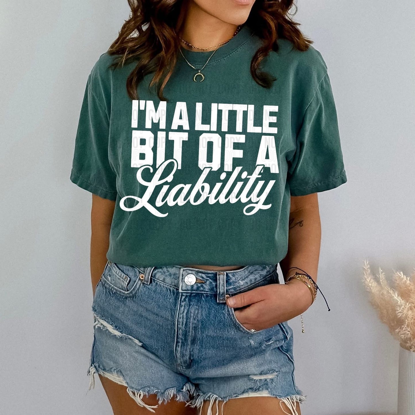 I'M A LITTLE OF A LIABILITY (SBB 2026): *COMPLETED SHIRT*
