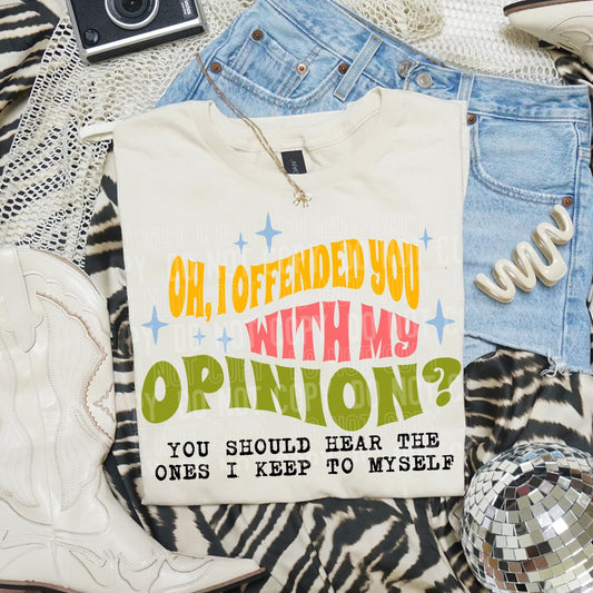 OH I OFFENDED YOU (SBB 2026): *DTF* Transfer