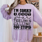 I'M SORRY I HURT YOUR FEELINGS (SBB 2026): *COMPLETED SHIRT*